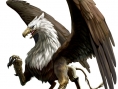 Artworks Dragon's Dogma Quest
