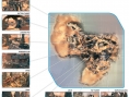 TitanFall : les 15 maps illustrés
