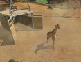 XBO : images Zoo Tycoon