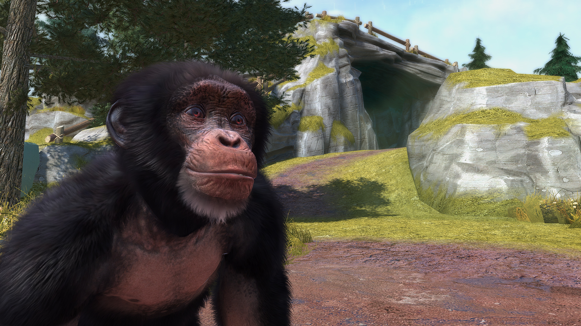 XBO : vidéo Zoo Tycoon