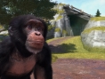 Zoo Tycoon : mieux vaut acheter la version XBO