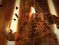 Final Fantasy XIV : images et interface PS3