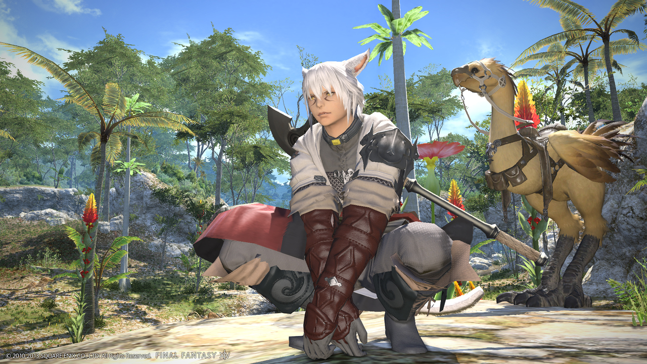 Screens Final Fantasy XIV : A Realm Reborn