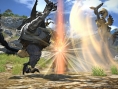 Final Fantasy XIV : images et interface PS3