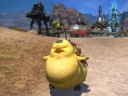 Final Fantasy XIV : Gros Chocobo illustré