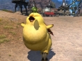 Final Fantasy XIV : Gros Chocobo illustré
