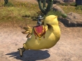 Final Fantasy XIV : Gros Chocobo illustré