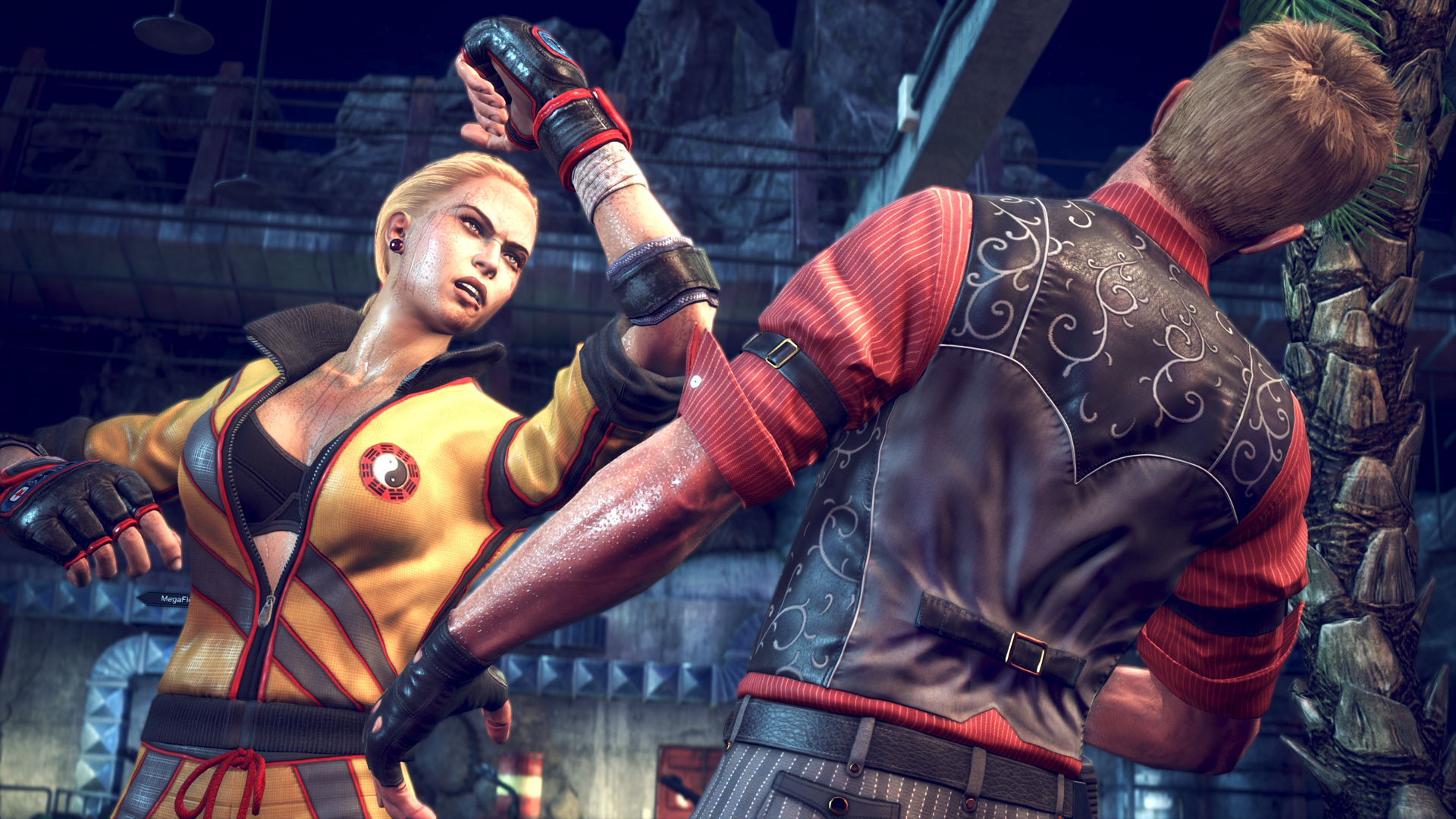 Fighter Within de retour en images et vidéo