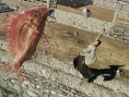 Yakuza Ishin : images et infos