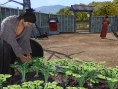 Yakuza Ishin : images et infos