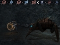 Screens Natural Doctrine