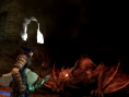 Natural Doctrine confirmé pour l'occident