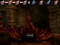 Natural Doctrine confirmé pour l'occident