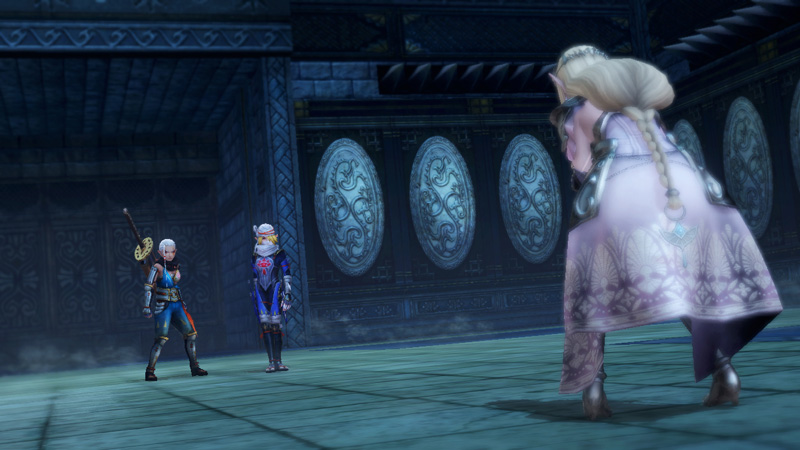 Hyrule Warriors : N-Direct à 5h