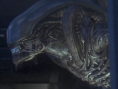 Screens Alien Isolation