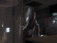 Screens Alien Isolation
