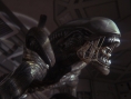 Screens Alien Isolation