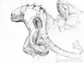 Evolve : deux premières images