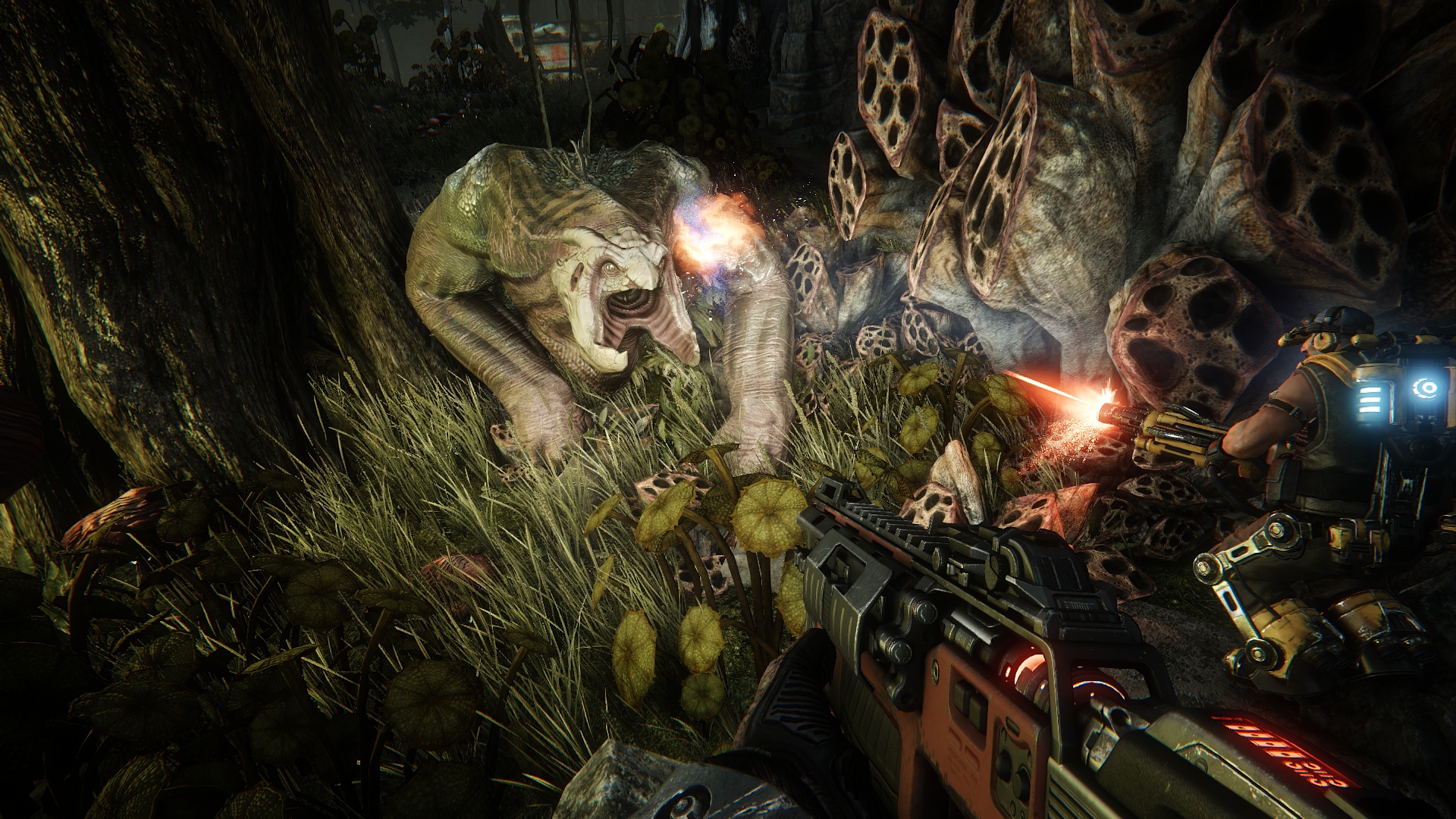 Evolve : la date européenne