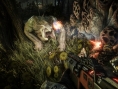 Evolve : la date européenne