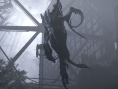Evolve : la Distillerie en vidéo