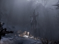 Trailer Evolve