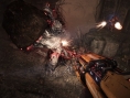 Video Evolve (William)