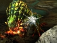 Screens Monster Hunter 4 Ultimate
