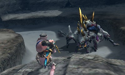 Monster Hunter 4 Ultimate : le plein d'images