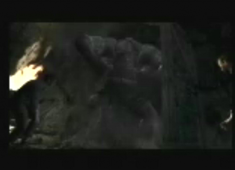 Resident Evil 4 en images