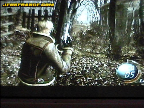 Resident Evil 4 : Plus d'images