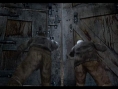 Resident Evil 4 : nouvelles images