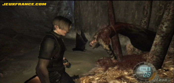 Resident Evil 4 : Images maison