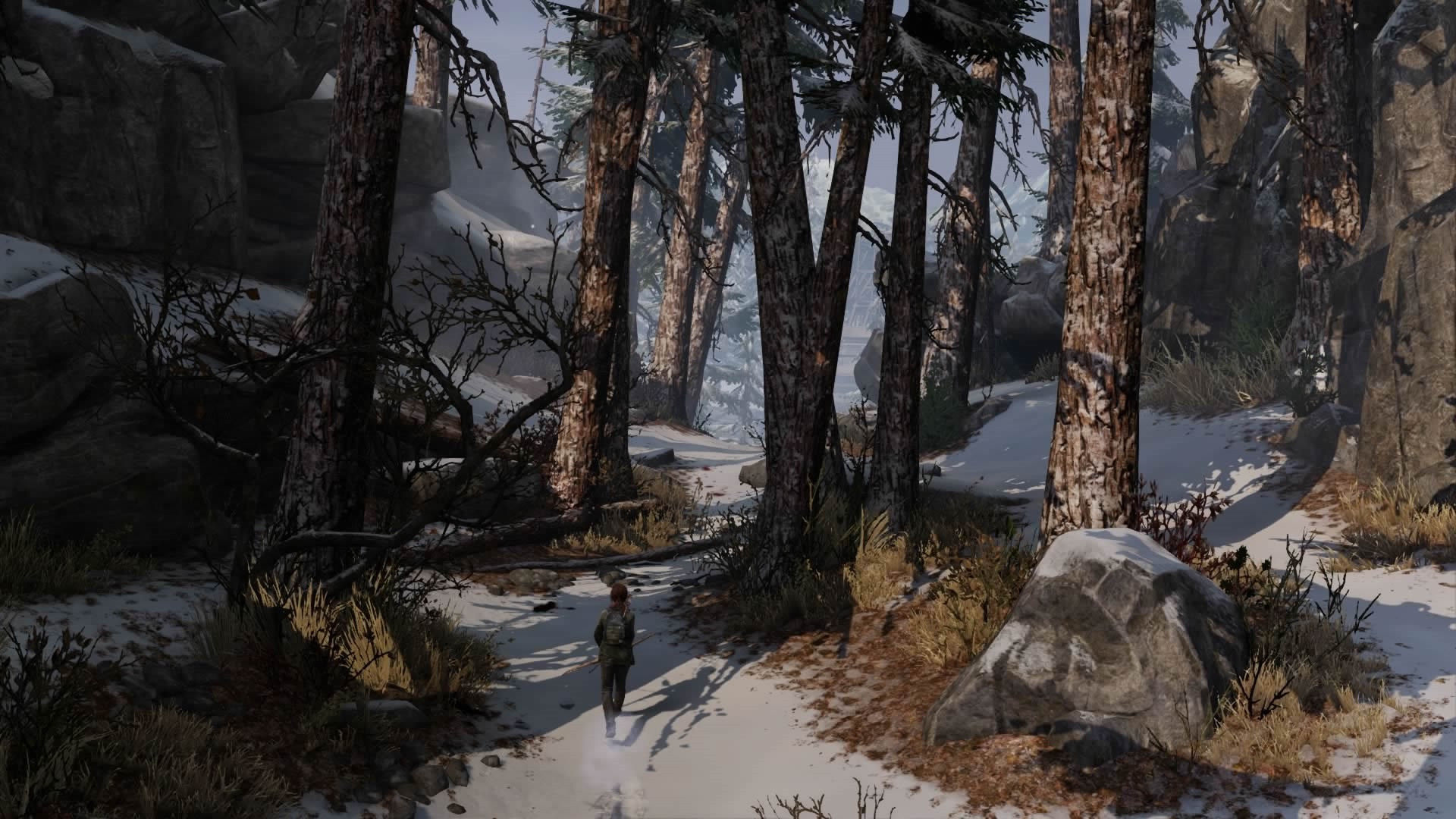 The Last of Us Remastered : des images à J-3