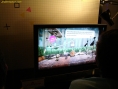 Conference Sony
