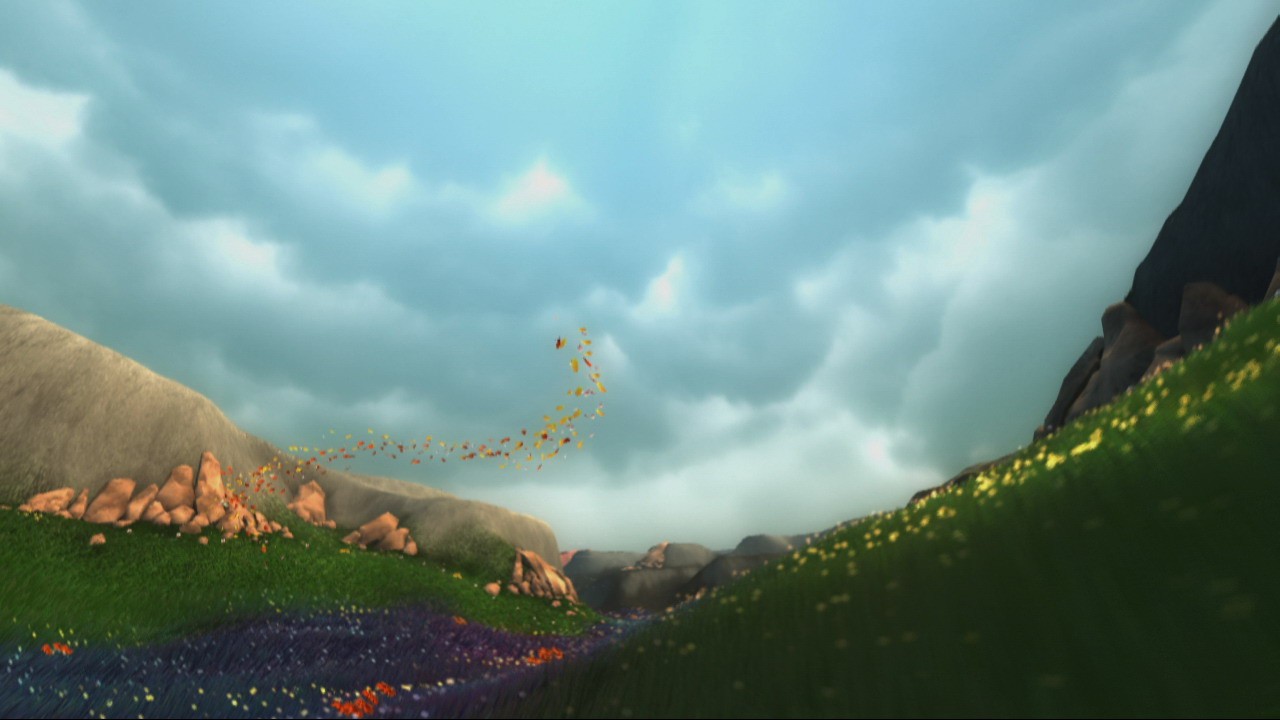 Flower : new pics