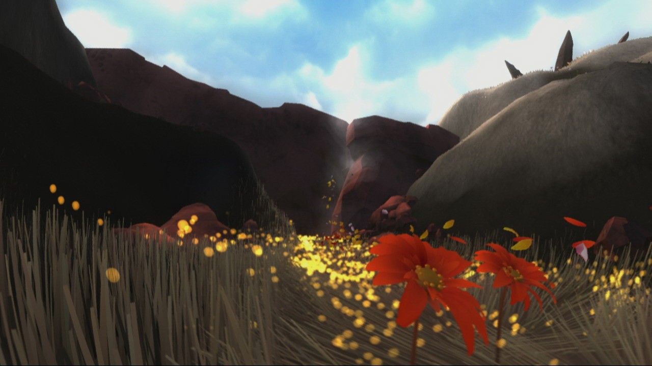 Flower : new pics