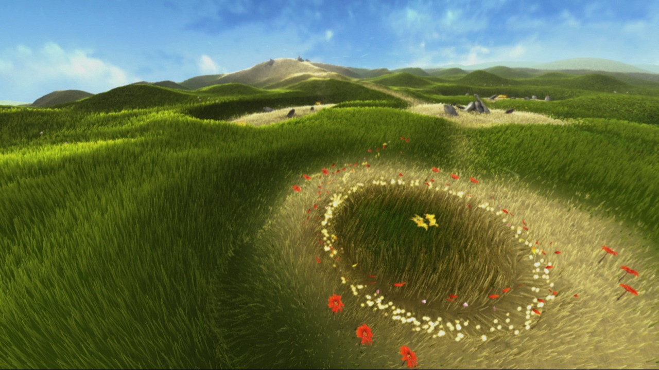 Flower : new pics
