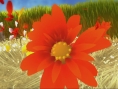 Flower : un tourbillon d'images
