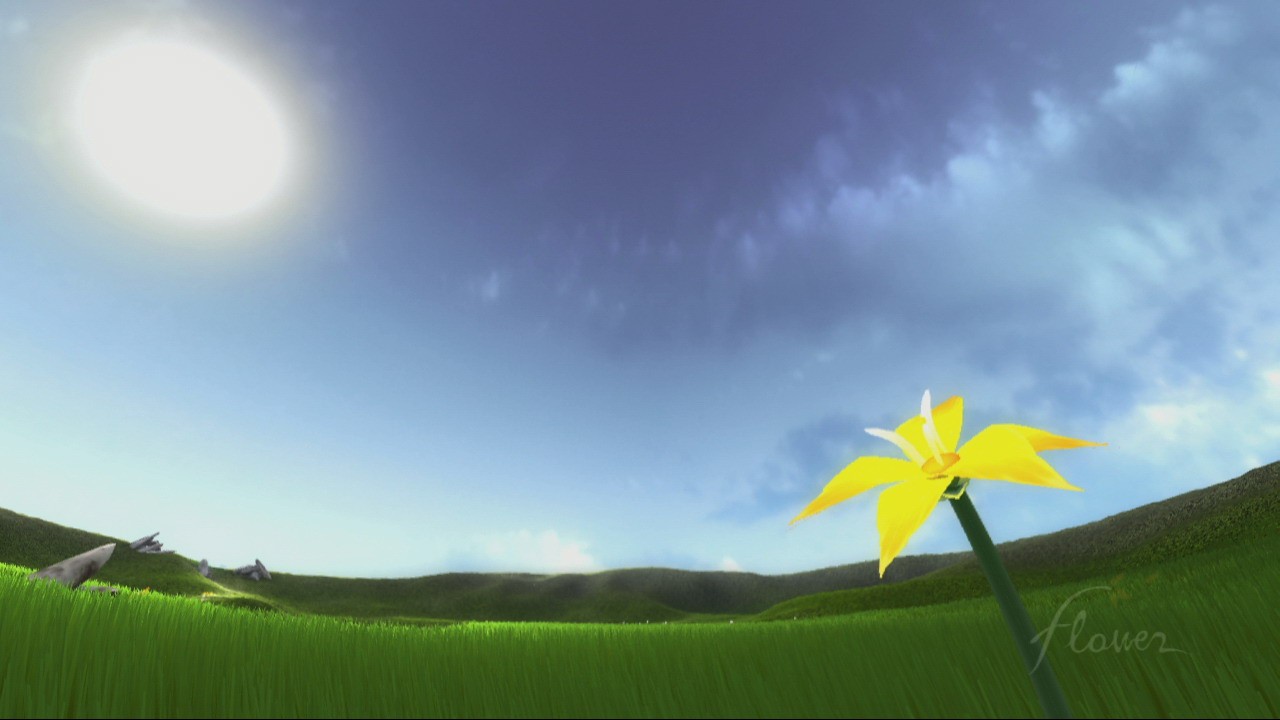 Flower : new pics