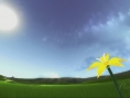 Flower : un tourbillon d'images