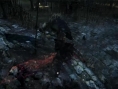 Project Beast : la suite spirituelle de Demon's Souls ?