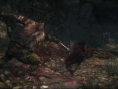 Project Beast : la suite spirituelle de Demon's Souls ?