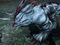 Toukiden Kiwami se dévoile en vidéo
