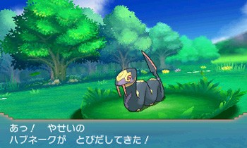 Pokémon Rubis & Saphir : nouvelles images