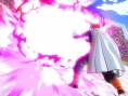 Dragon Ball Xenoverse ouvre son Budokai Tenkaichi