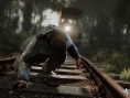 The Vanishing of Ethan Carter : les chiffres