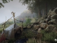 The Vanishing of Ethan Carter : les chiffres