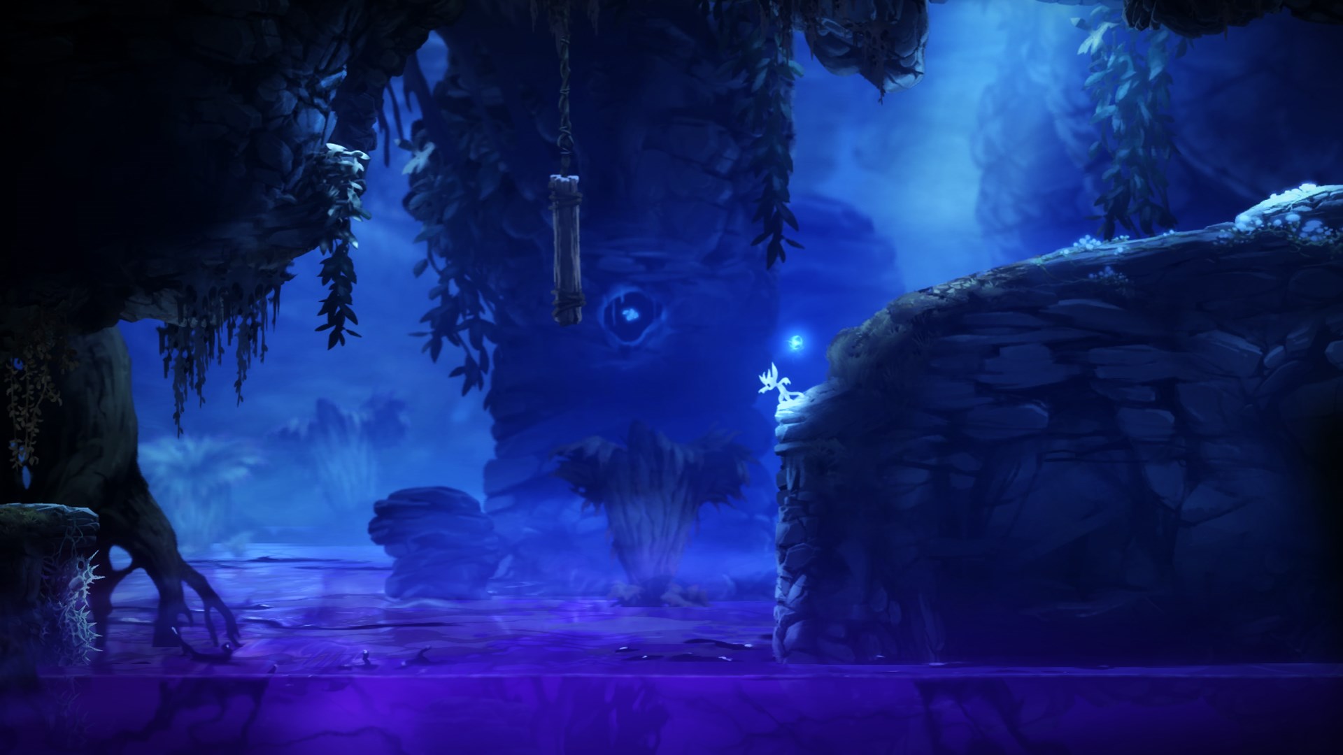 Video Ori and the Blind Forest