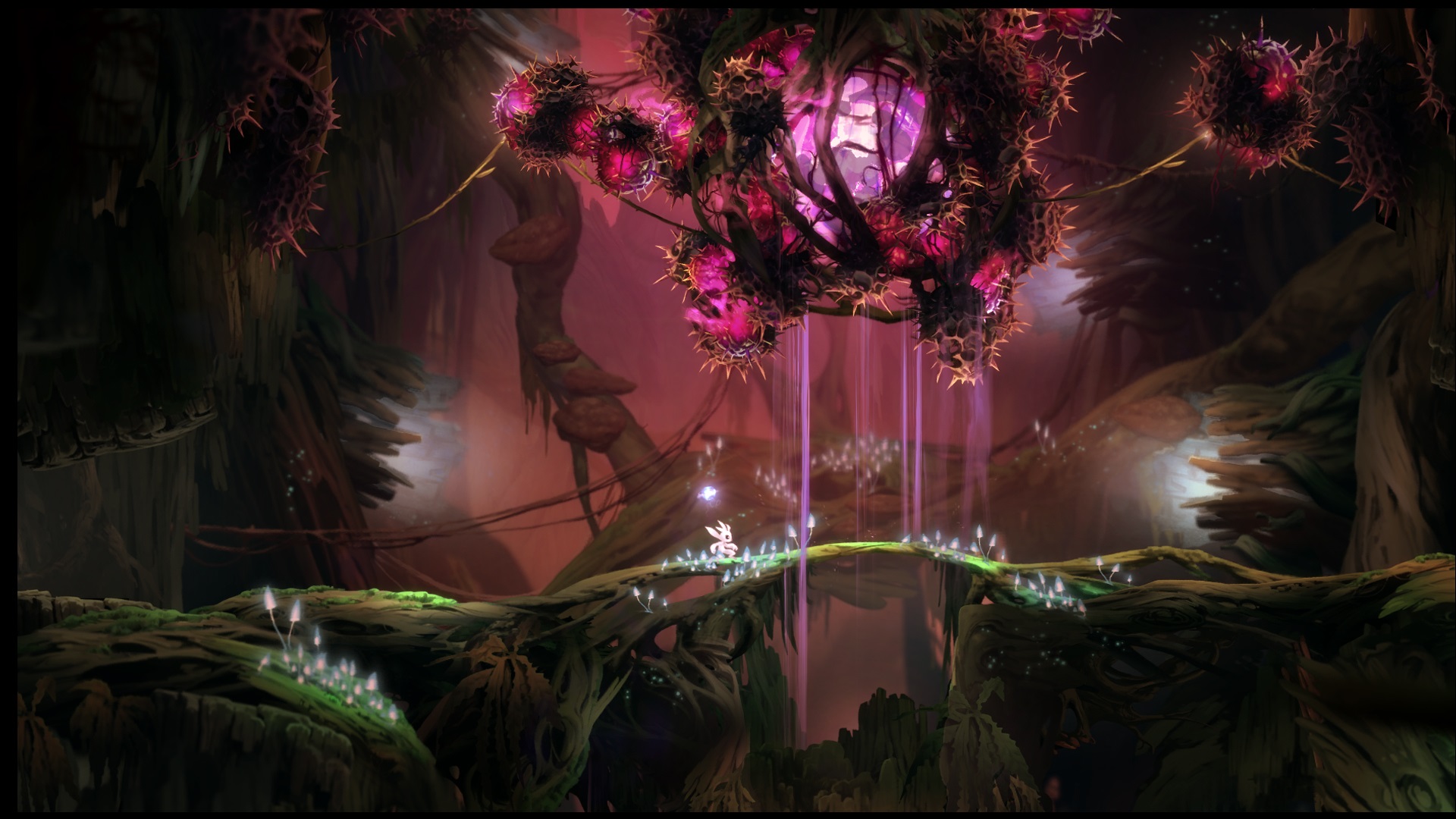 Ori and the Blind Forest  : nouveau trailer